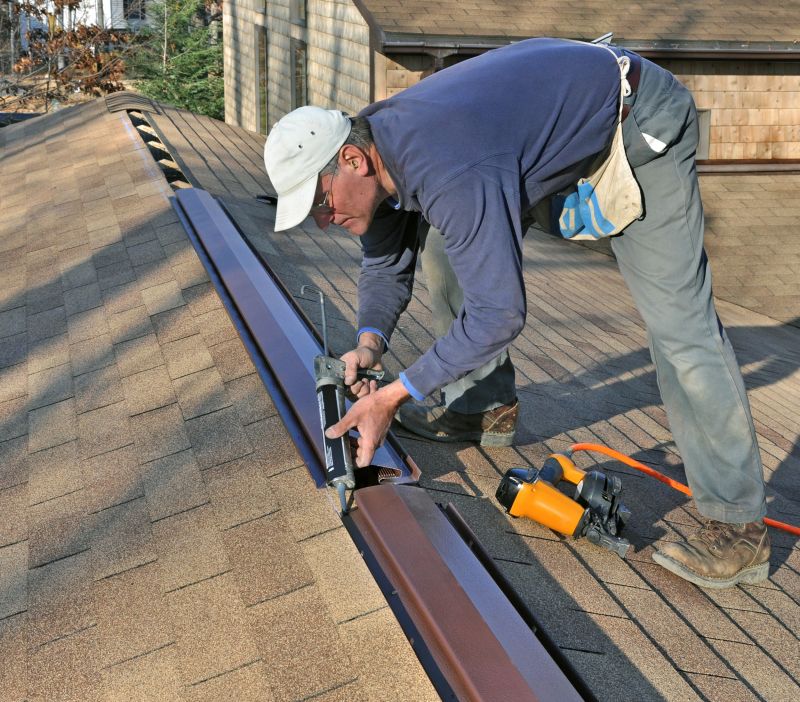 Asphalt Shingle Repair