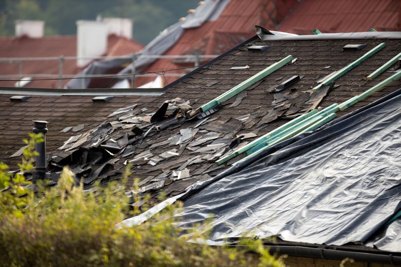 Causes Of Asphalt Shingle Damage And When Repair Is Enough