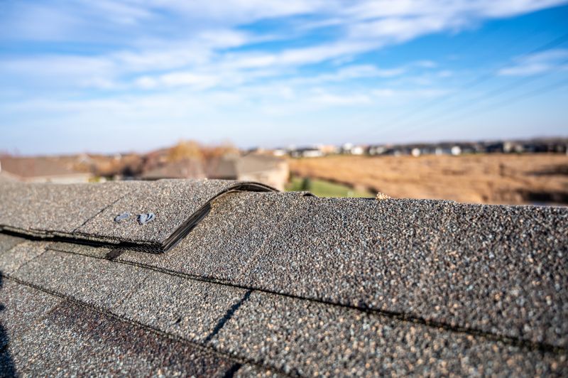 Causes Of Asphalt Shingle Damage And When Repair Is Enough