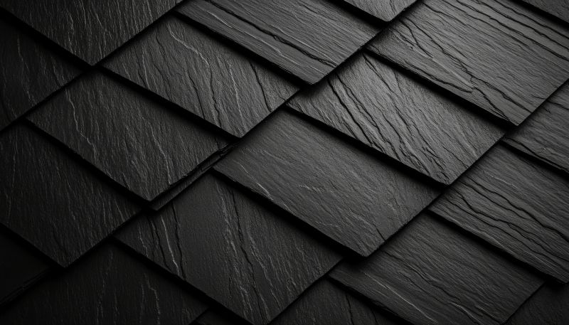 Slate Roofing Service in Alexandria, VA